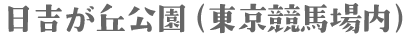 日吉ヶ丘公園（東京競馬場内）