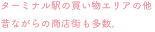 ターミナル駅の買い物エリアの他昔ながらの商店街も多数