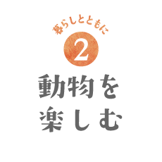 動物を楽しむ