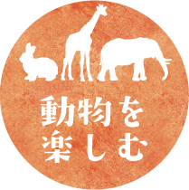 動物を楽しむ