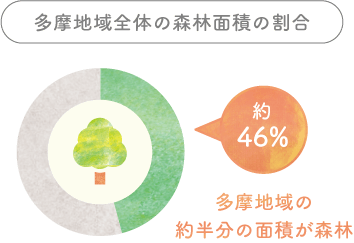 多摩地域全体の森林面積の割合