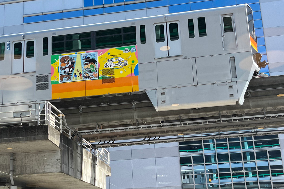 写真11