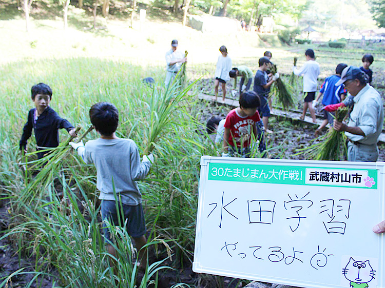 武蔵村山市写真07