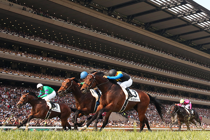 JRA Tokyo Racecourse