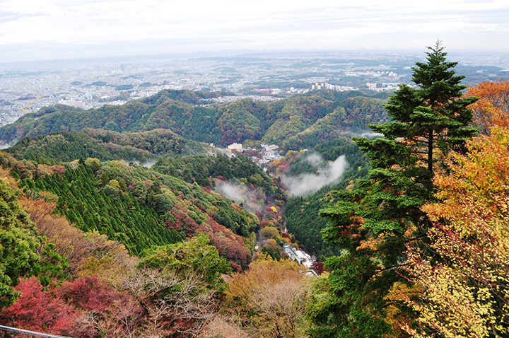 Mt. Takao