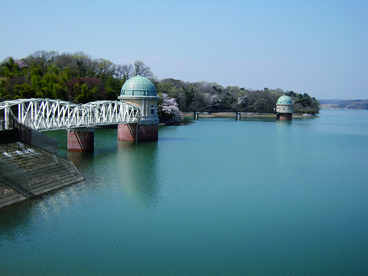 Lake Tama