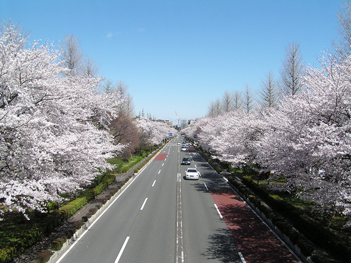University Street