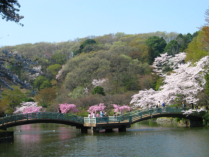 Machida Yakushi-ike Park