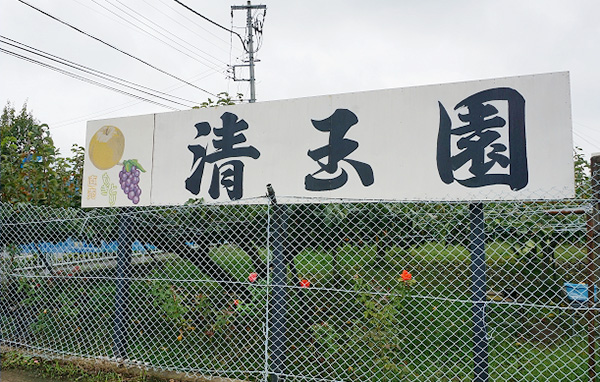 Good Luck Trip Image03