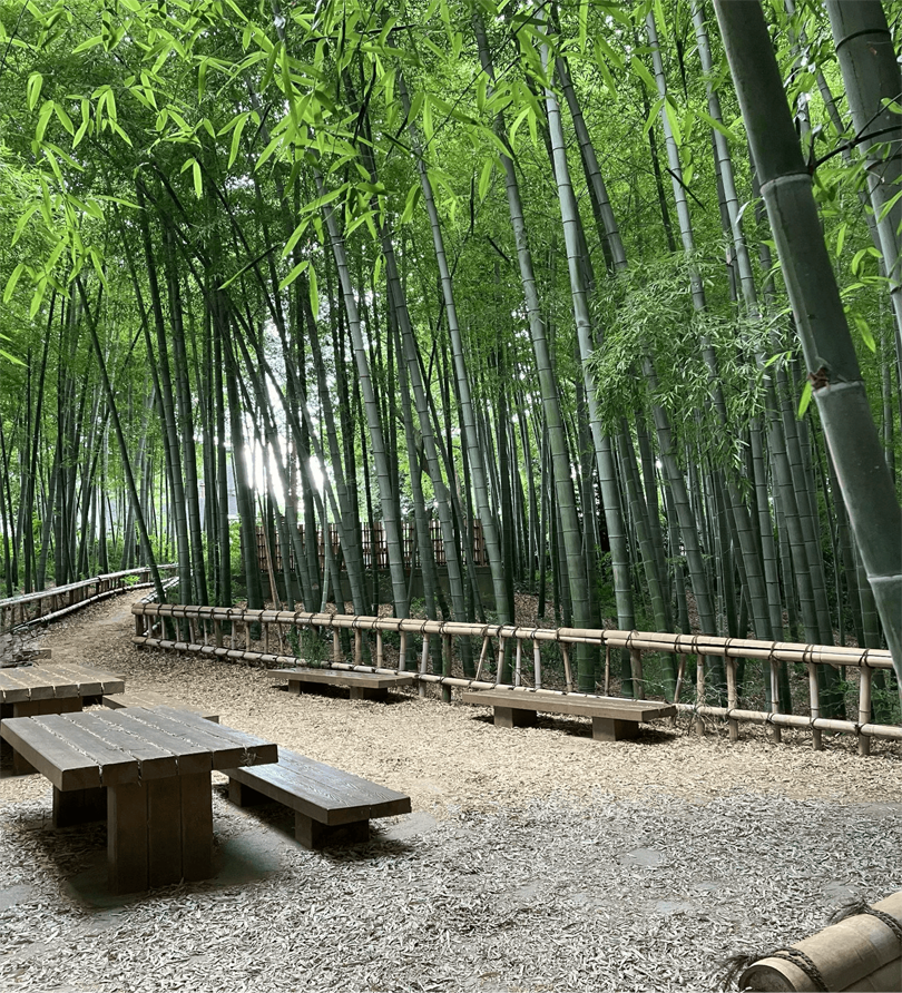 この日は暑かったですが、竹林公園は涼しげでした。