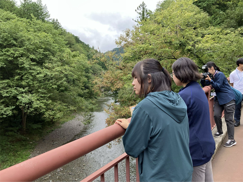 石舟橋から見える景色も素敵です。