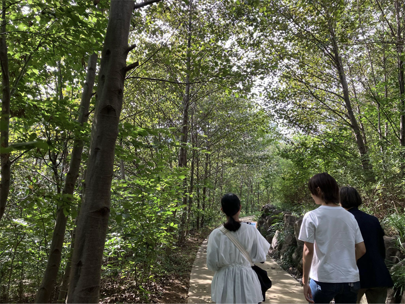 様々な木々に囲まれた緩やかなスロープを歩いて頂上へ向かいます。