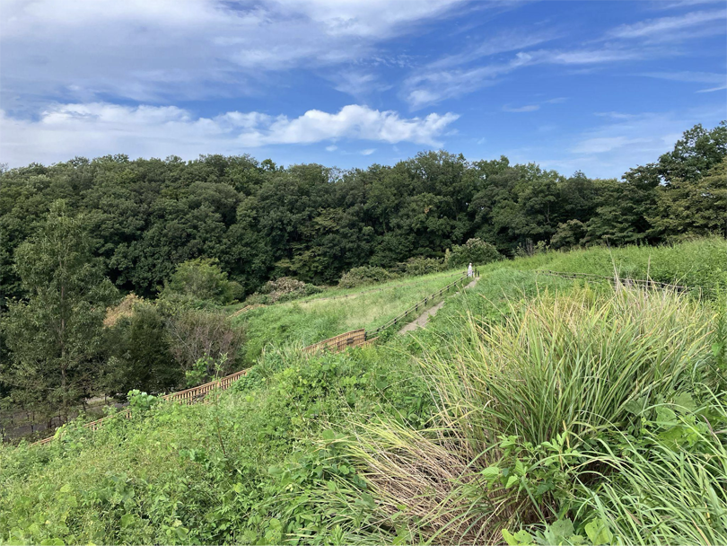 展望広場の先に広がる雑木林