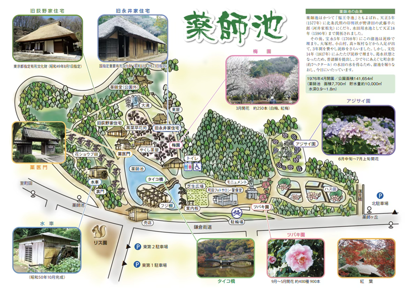 薬師池公園の園内マップ（画像をクリックすると拡大表示されます）