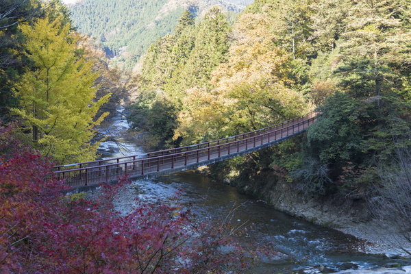 写真:石舟橋