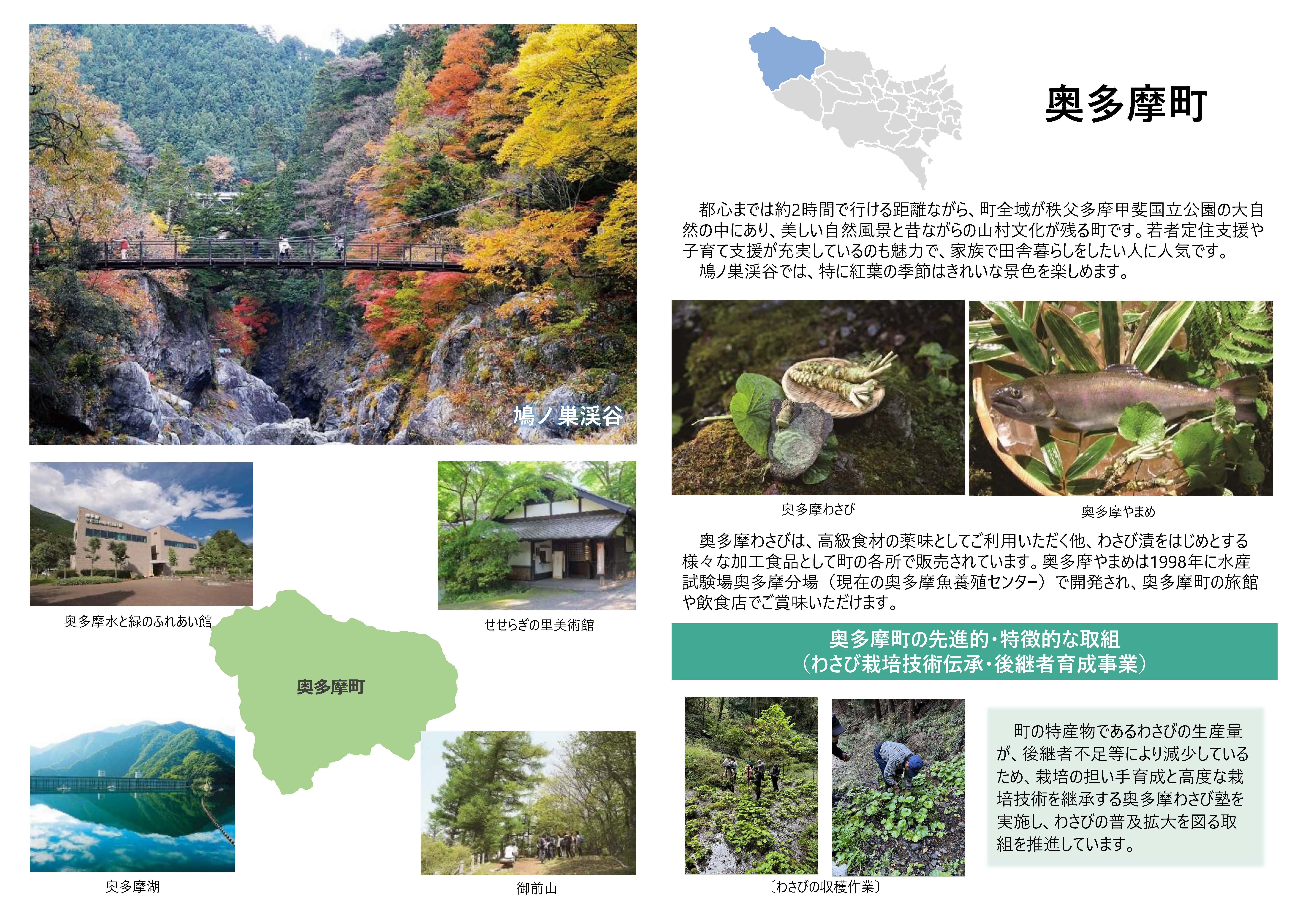 奥多摩町の紹介画像