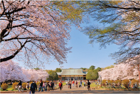 小金井市/小金井公園