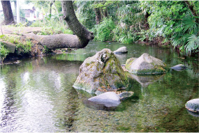 東久留米市/落合川と南沢湧水群