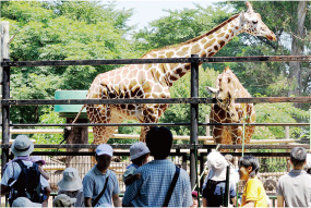 羽村市/羽村市動物公園