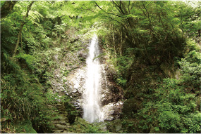 檜原村/払沢の滝