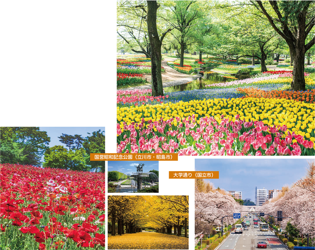 写真:四季折々に移ろう豊かな自然の景色