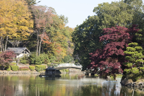 写真:町田薬師池公園 四季彩の杜