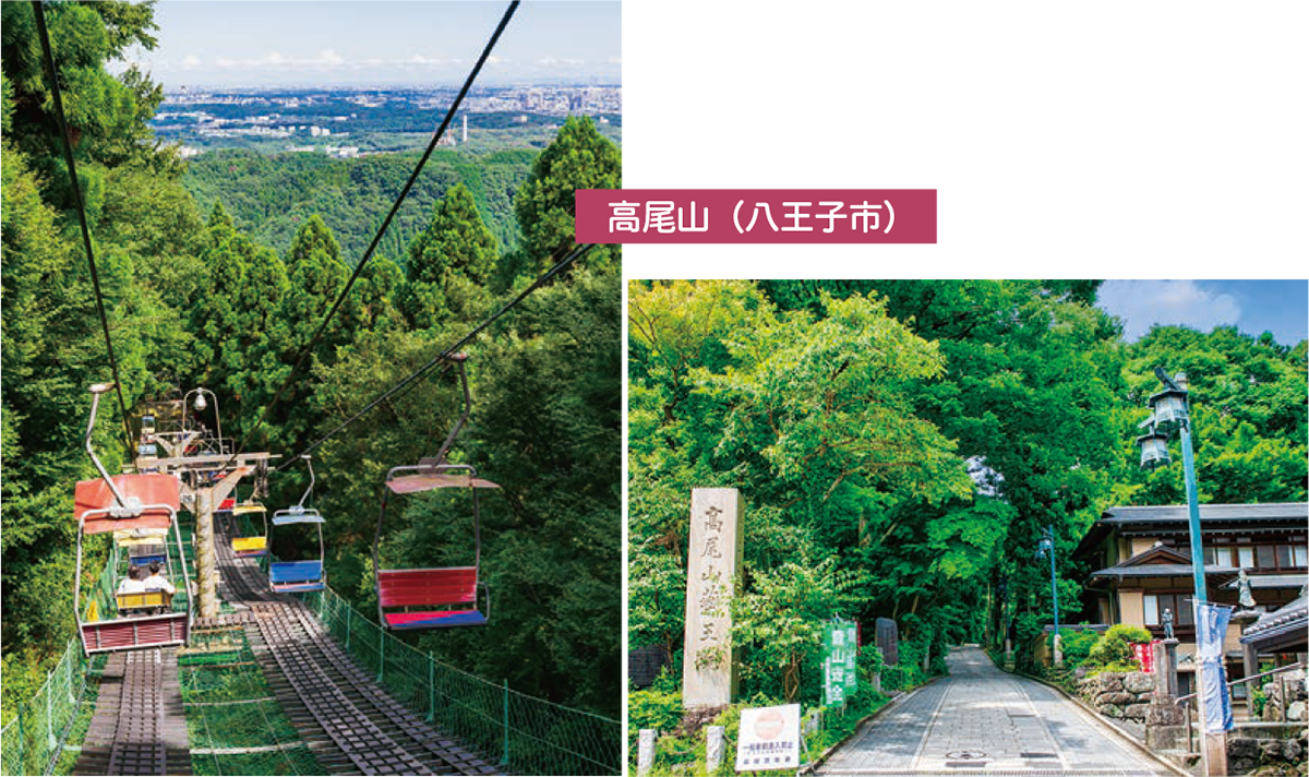 写真:年間約300万人が訪れる!?多摩を代表する観光名所・高尾山