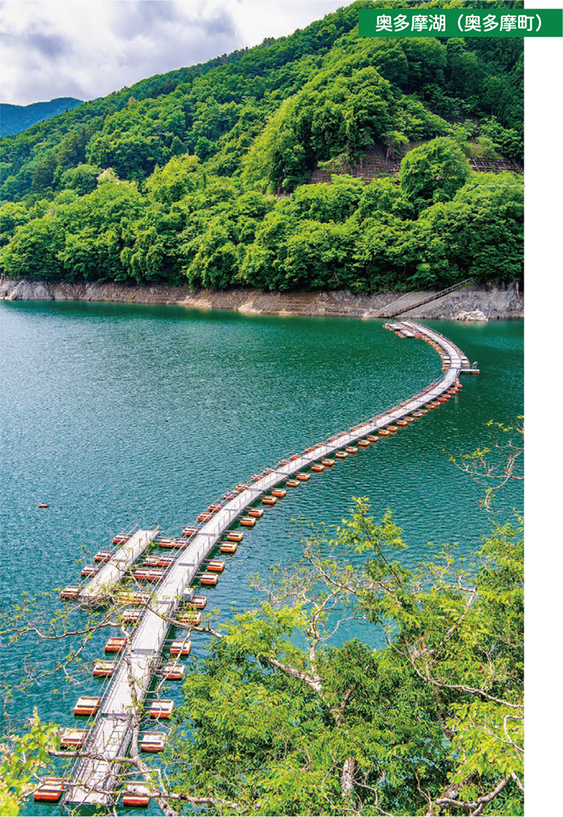 写真:山!川!滝!花!大自然とともに生きる1