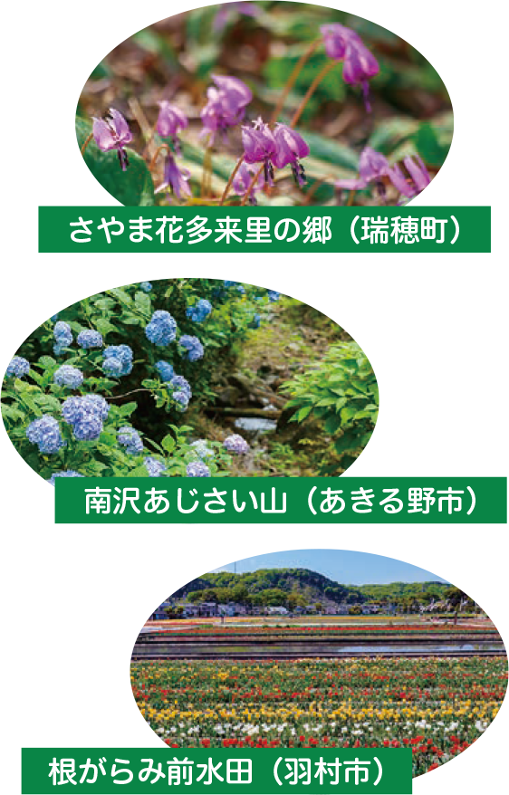 写真:山!川!滝!花!大自然とともに生きる2