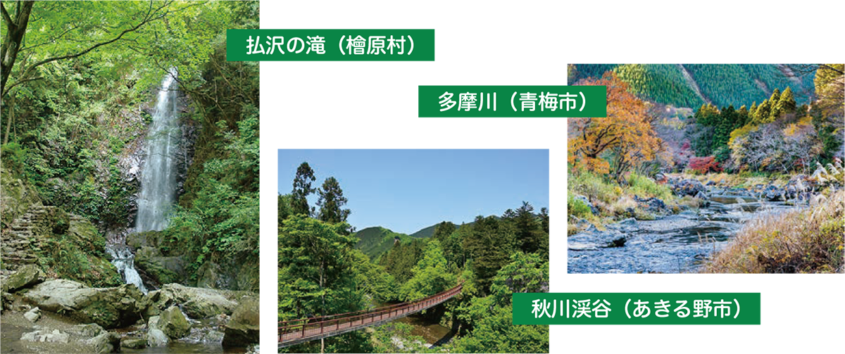 写真:山!川!滝!花!大自然とともに生きる3
