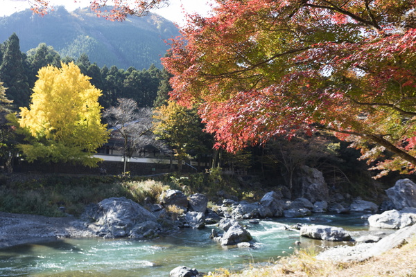 写真:御岳渓谷