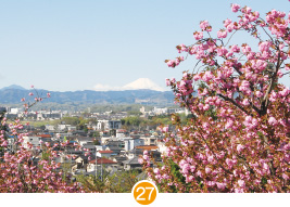 瑞穂町/ 街並みと富士山