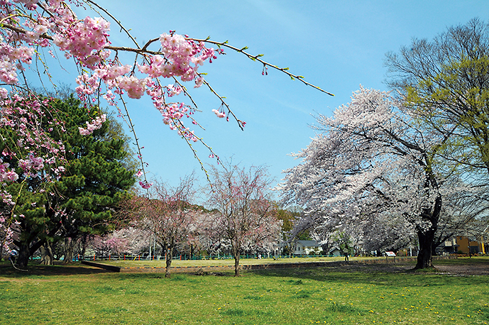 国分寺市トップ画像