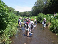 Playing in the River with Your Child - How to Catch and Care for Living Organisms