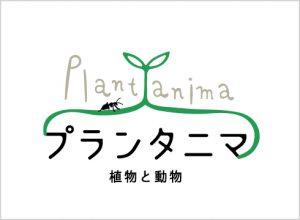 特設展示「プランタニマ：動物と植物の一年」