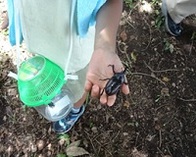 秋留台公園「昆虫教室　この虫な～に？」