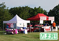Town Eco Flea Market