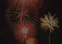 The 59th Tachikawa Festival: Fireworks Display in Showa Commemorative National Government Park