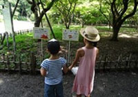 Jindai Botanical Park 