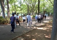 Koganei Park 