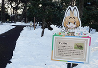 Kemono Friends Encore! Let's Go to Meet Animals on Keio's Train! Encore Plan: Inokashira Park Zoo