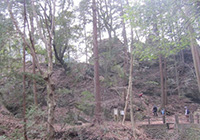 Visiting a Katakuri in Early Spring - Valley of Okutama and Satoyama Walking