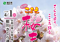 The 4th Komae Cherry Blossom Festival