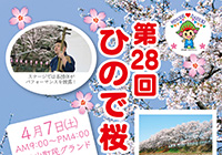 The 28th Hinode Cherry Blossom Festival