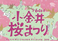 The 64th Koganei Cherry Blossom Festival