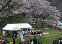 Oyamadairi Park and Sakuragaoka Park 