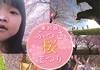 The 35th Fussa Cherry Blossom Festival