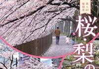The 8th Cherry Blossom and Pear Flower Festival
