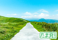 Walk Event: Mt. Honita (Ohtama 30) 