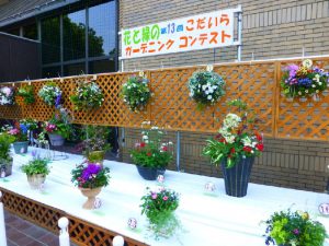 The 14th Flower and Green Advertising Gardening Contest
